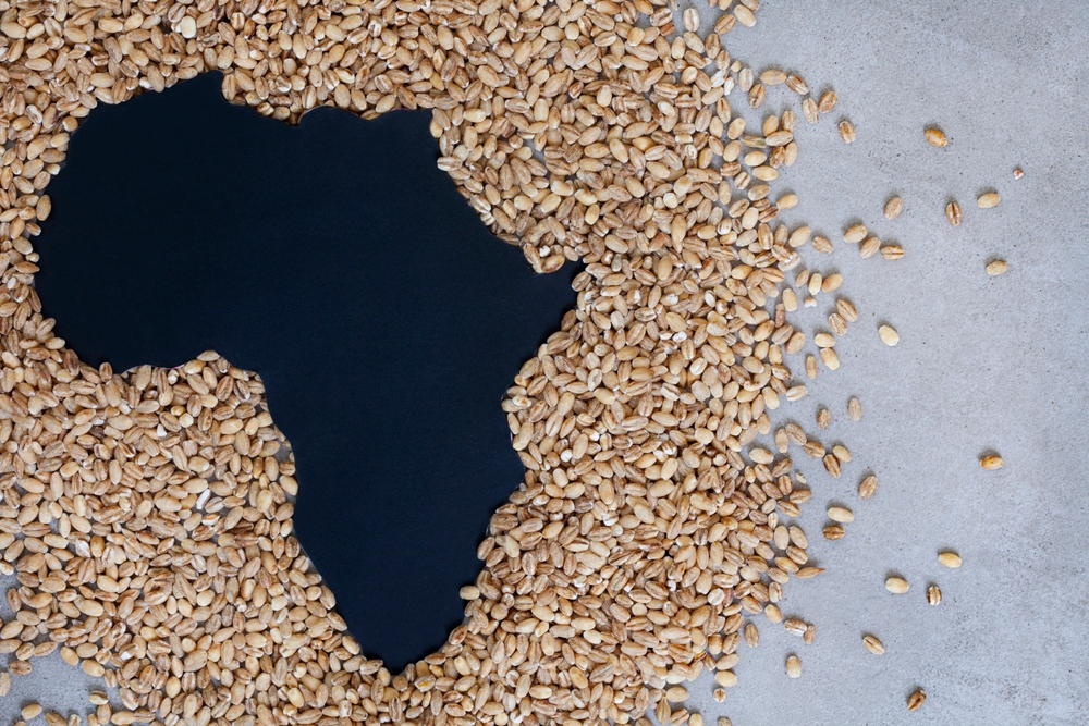 African continent in the grain around