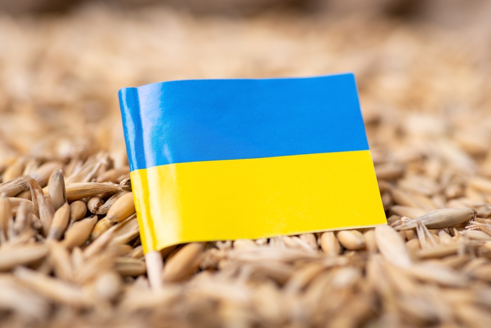 Ukrainian flag and grain