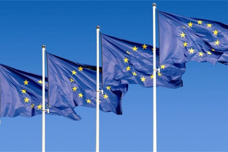 EU flags